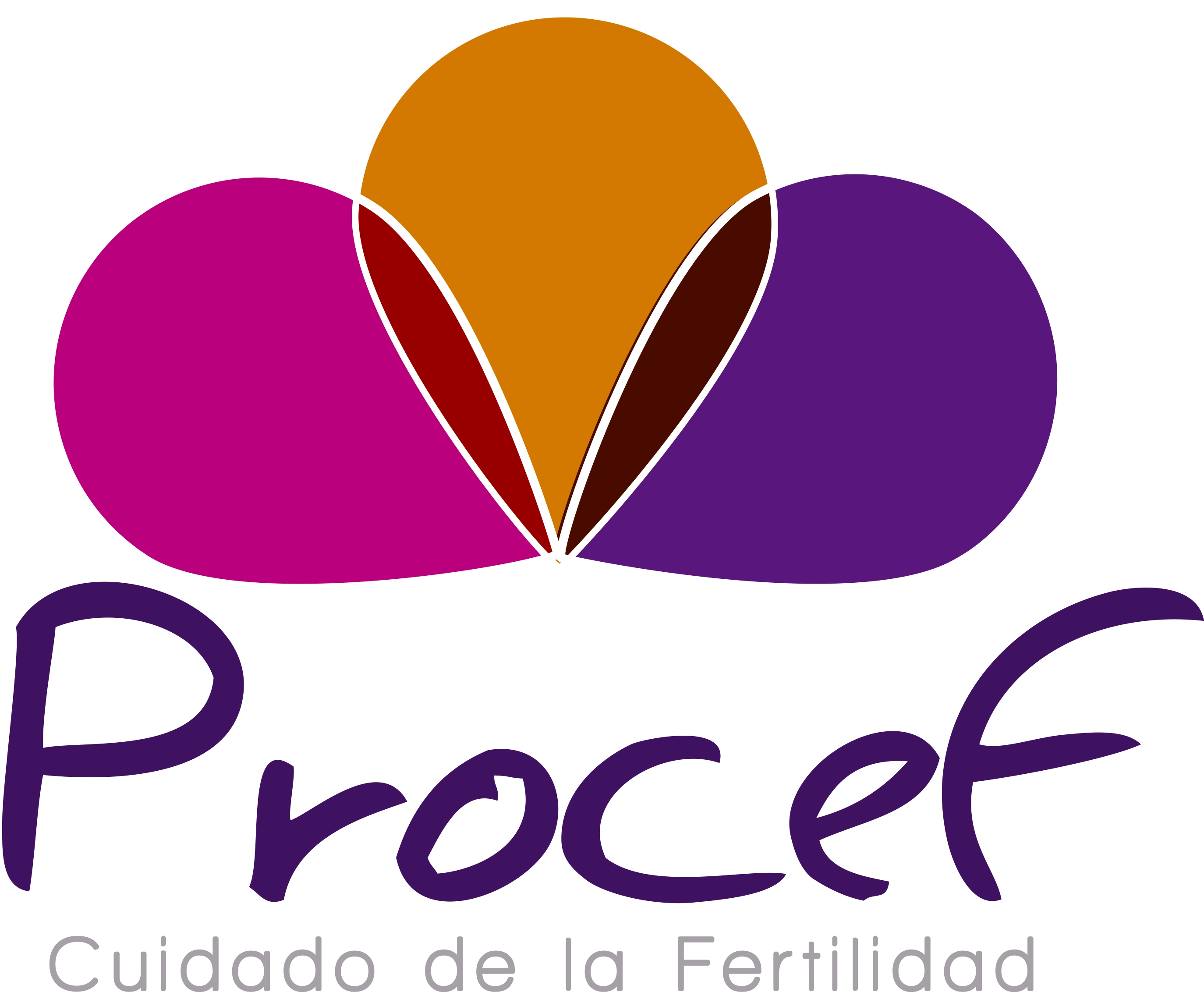 Logo PROCEF